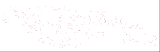 Fiber path edges visualization